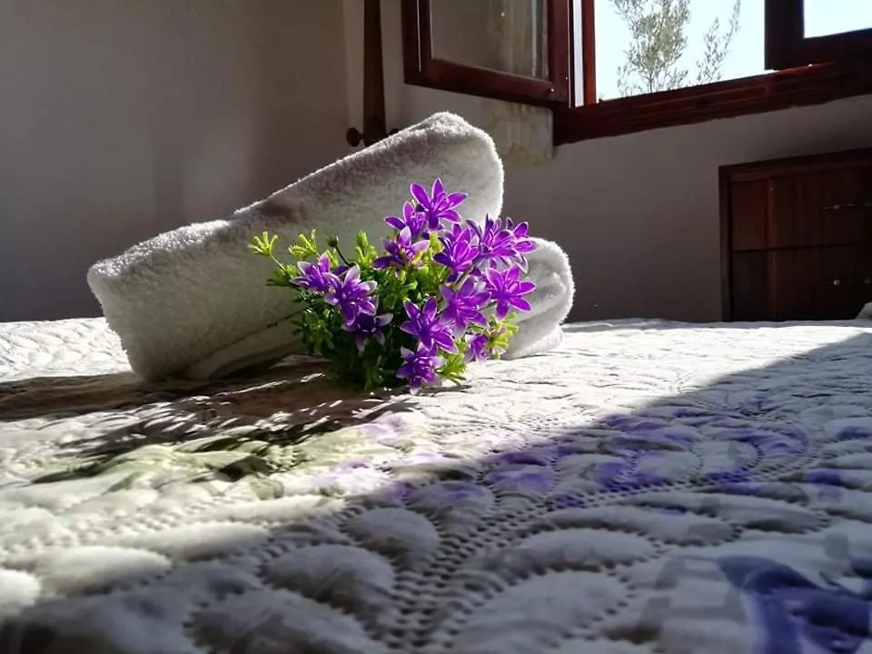 Zara'S Love Nea Silata Greece